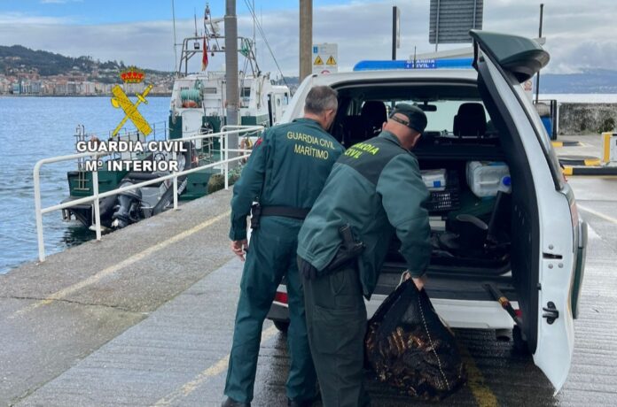 Guardia civil pesca furtiva Sanxenxo